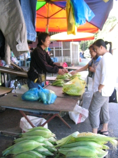 Buying Jagung